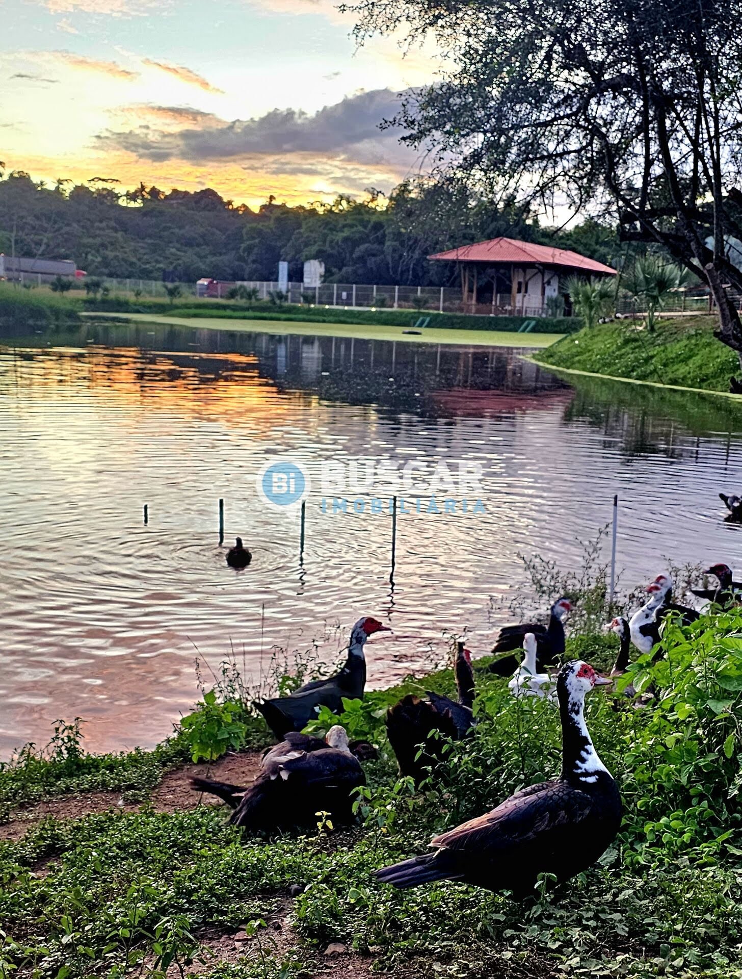 Terreno à venda no Br-324, Amélia Rodrigues (BA) — foto 6 de 17