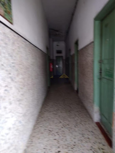 FOTO_8