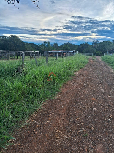 FAZENDA–42 KM DA CIDADE | PECUÁRIA, AGRICULTURA E LAZER