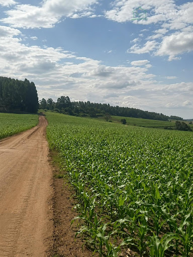 Sítio à Venda em Alto da Serra, São Pedro por R$ 840 mil