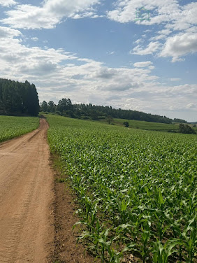 Sítio à Venda em Alto da Serra, São Pedro por R$ 840 mil
