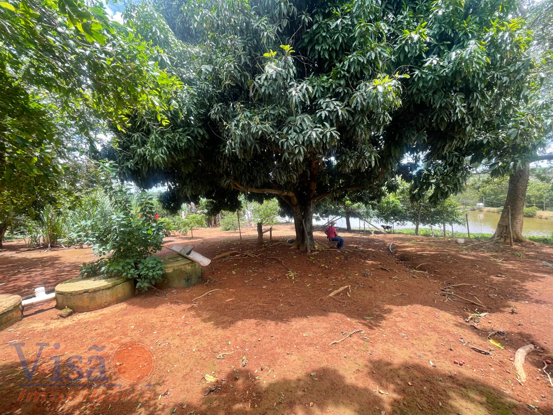 Rural à venda com 90m² de terreno no Área Rural de Paracatu, Paracatu (MG) — foto 7 de 23