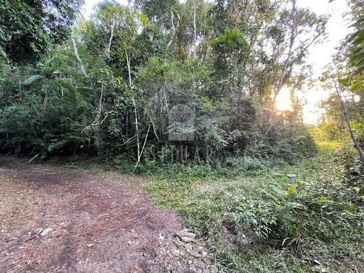 Foto 01