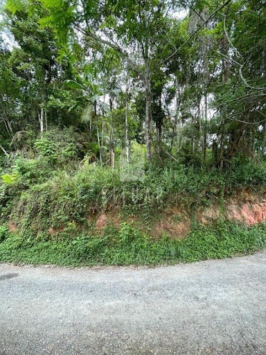 Foto 06