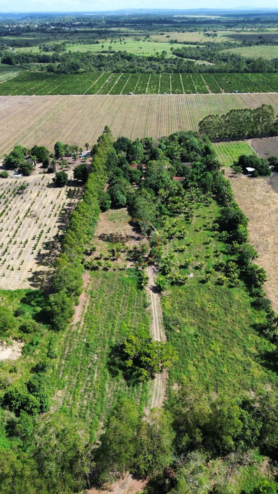 Rural à venda com 35000m² de terreno no Br367, Porto Seguro (BA) — foto 7 de 17