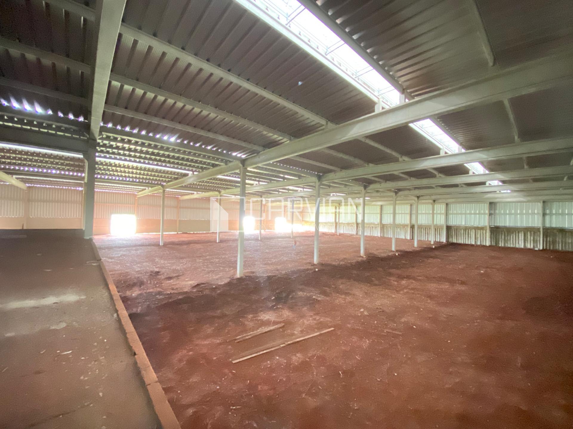 Comercial à venda com 12000m² no Distrito Empresarial Prefeito Luiz Roberto Jábali, Ribeirão Preto (SP) — foto 8 de 15