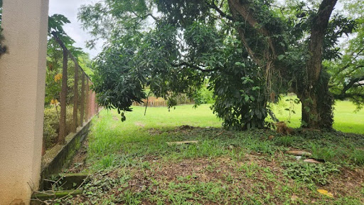 Foto 06