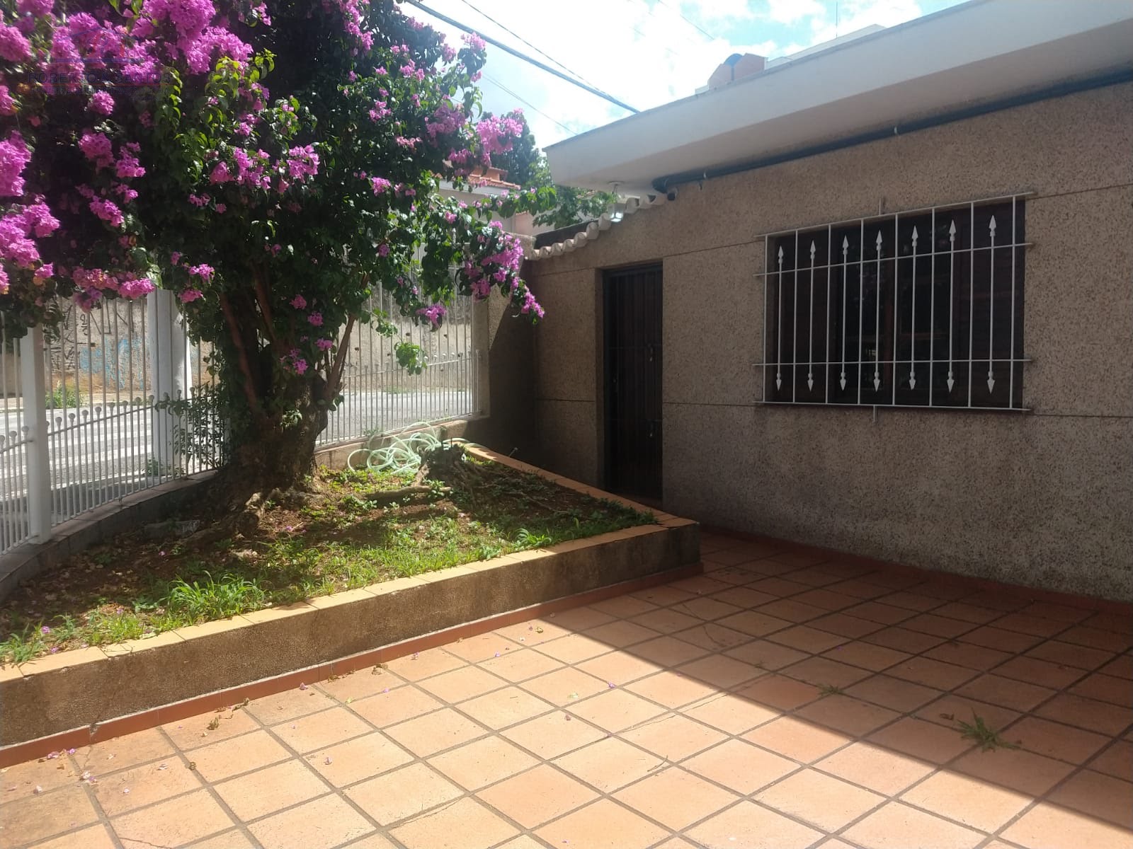 Quintal ou garagem