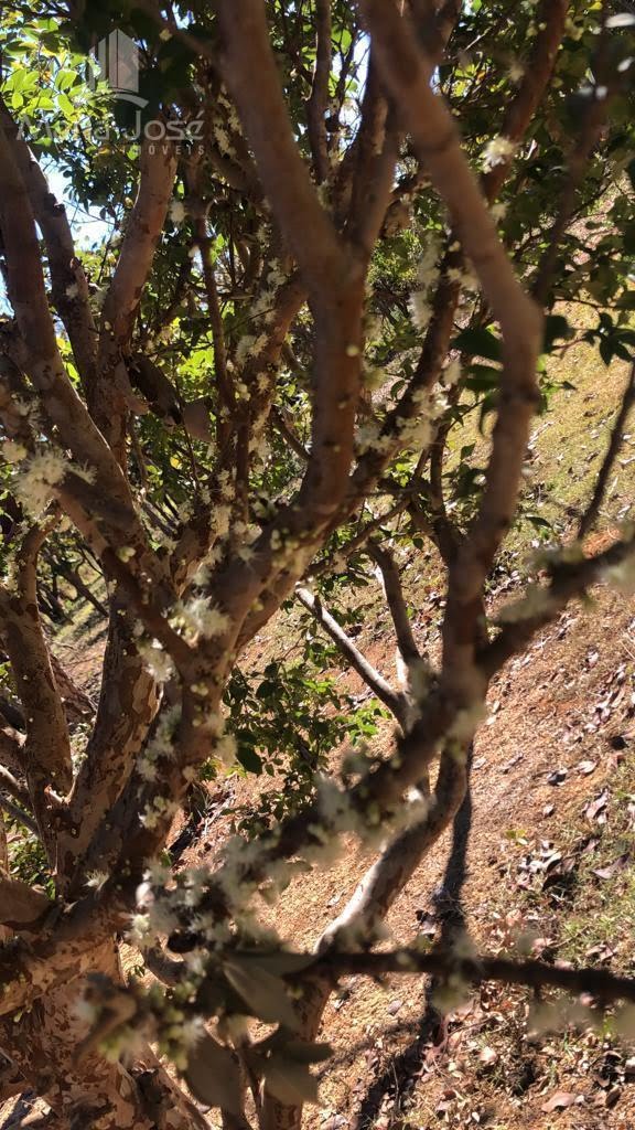 Rural à venda com 5300m² de terreno no Fazendinhas Pai José, Sete Lagoas (MG) — foto 17 de 20