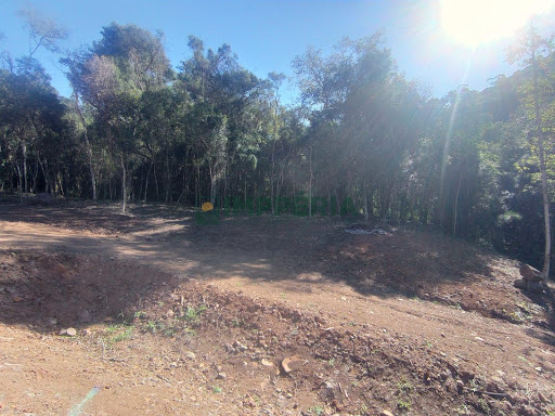 Sítio / Chácara SEM CASA  em  Carlos Barbosa / RS - Distrito de Arco Verde