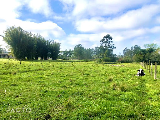 Casa em Jardim das Avenidas  -  Araranguá