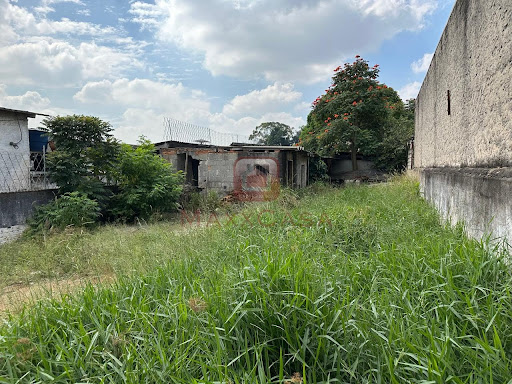 Terreno para locação em Veleiros  -  São Paulo