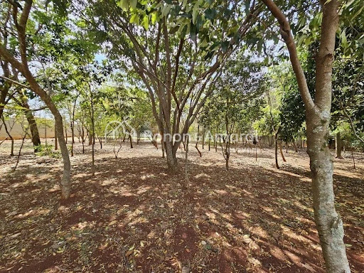 Terreno, 12 m² - Foto 14