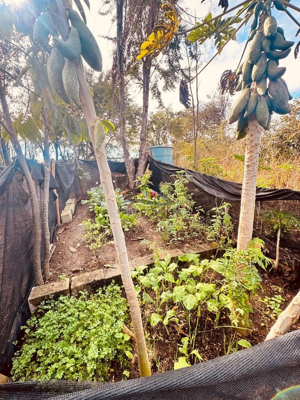 Rural à venda com 7000m² de terreno no Andiroba, Esmeraldas (MG) — foto 24 de 26