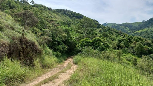 Fazenda em TRAJANO DE MORAES  -  Trajano de Moraes