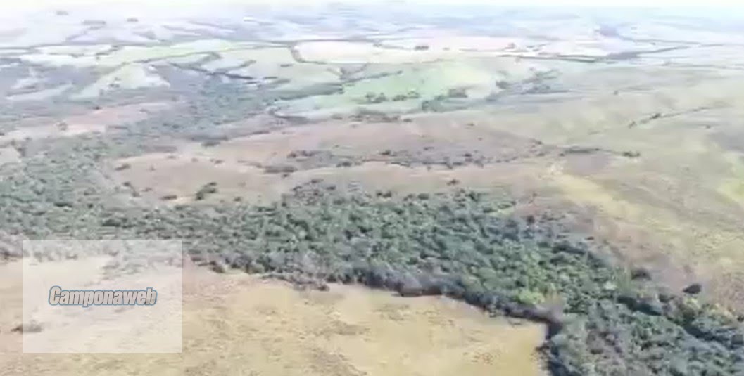 Vista aérea da propriedade