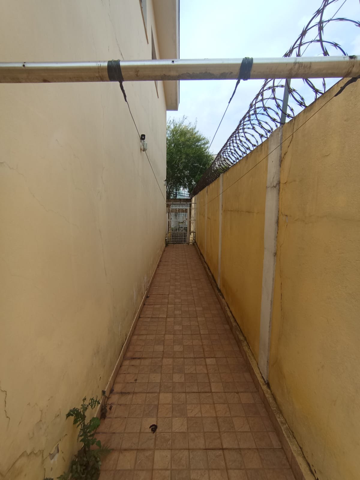 Apartamento à venda com 3 quartos, 3 banheiros, 3 vagas e 250m² no Vila Pereira Barreto, São Paulo (SP) — foto 26 de 30