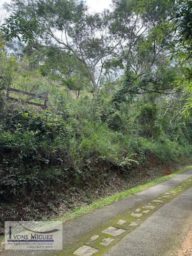 Terreno em Vale Das Videiras  -  Paty do Alferes