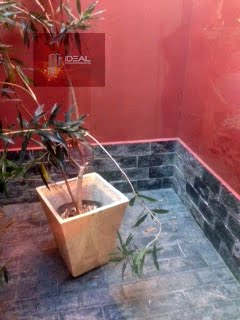 casa no jardim carioca- jardim