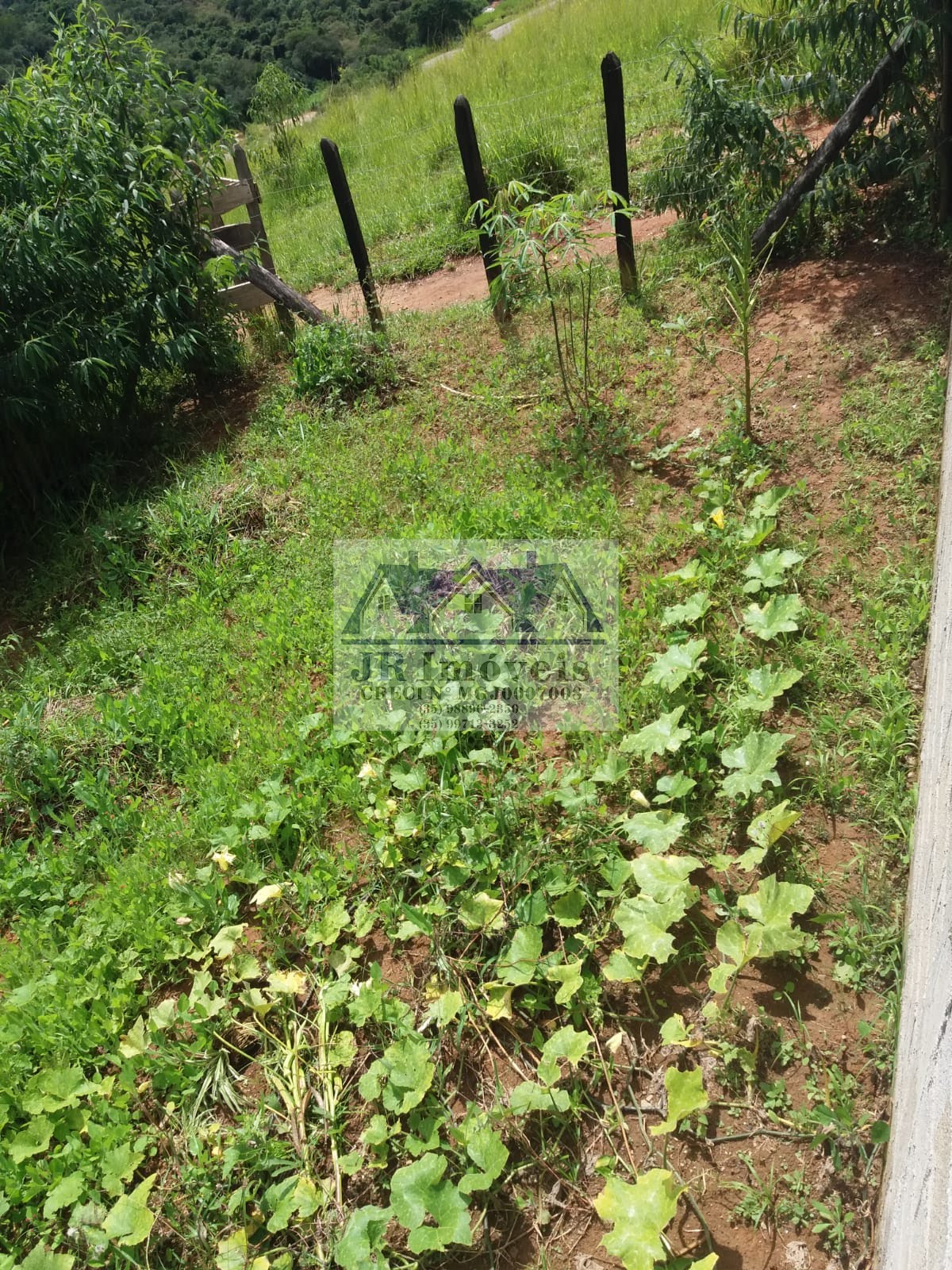 Terreno à venda com 125m² de terreno no Santa Barbara, Piranguinho (MG) — foto 5 de 6