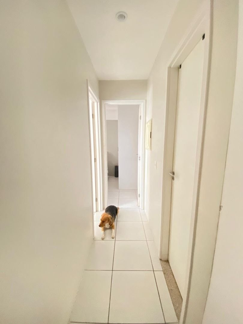 Apartamento à venda com 2 quartos, 1 suíte, 1 vaga e 56m² no Torreão, Recife (PE) — foto 5 de 30