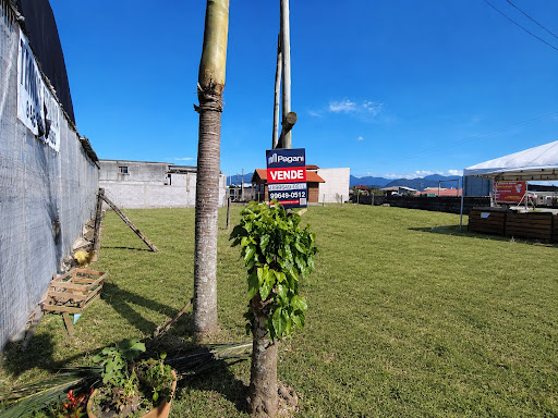 Lote / Terreno em Praia do Sonho  -  Palhoça