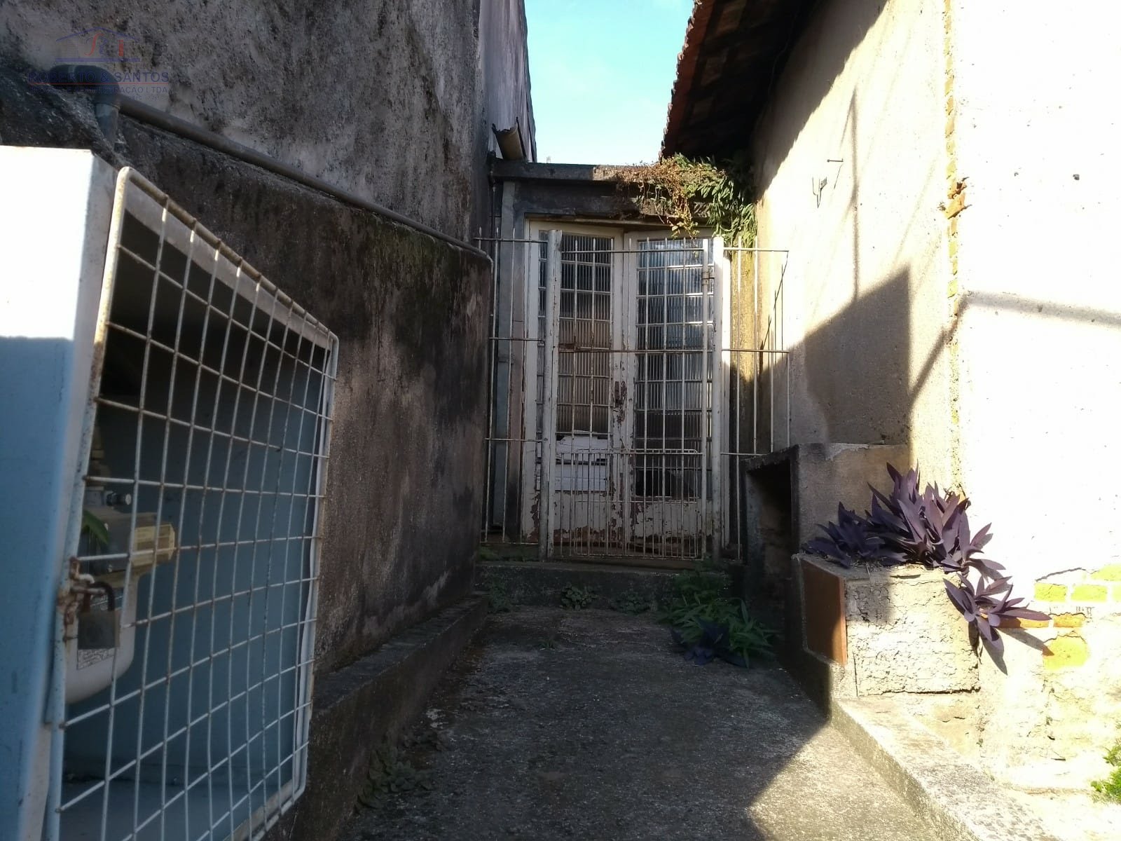 Entrada