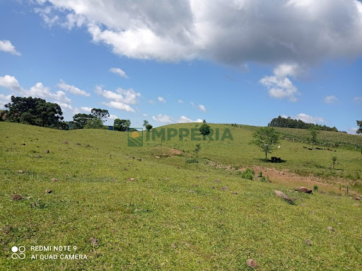 Sítio / Chácara SEM CASA em Santa Tecla  -  Coronel Pilar