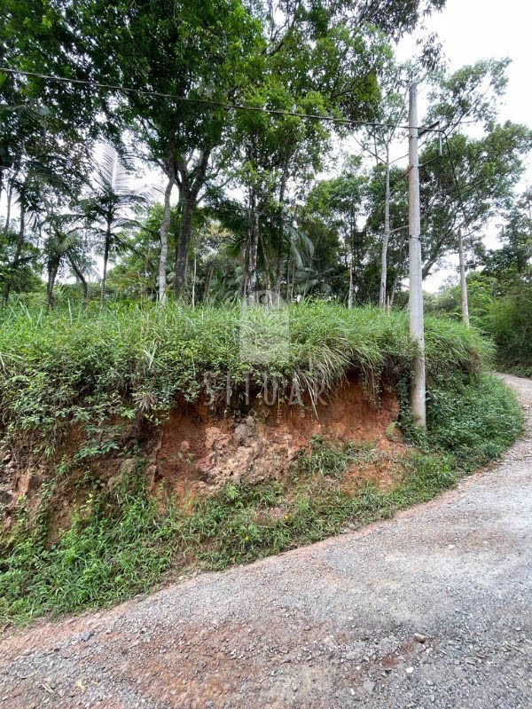 Foto 05