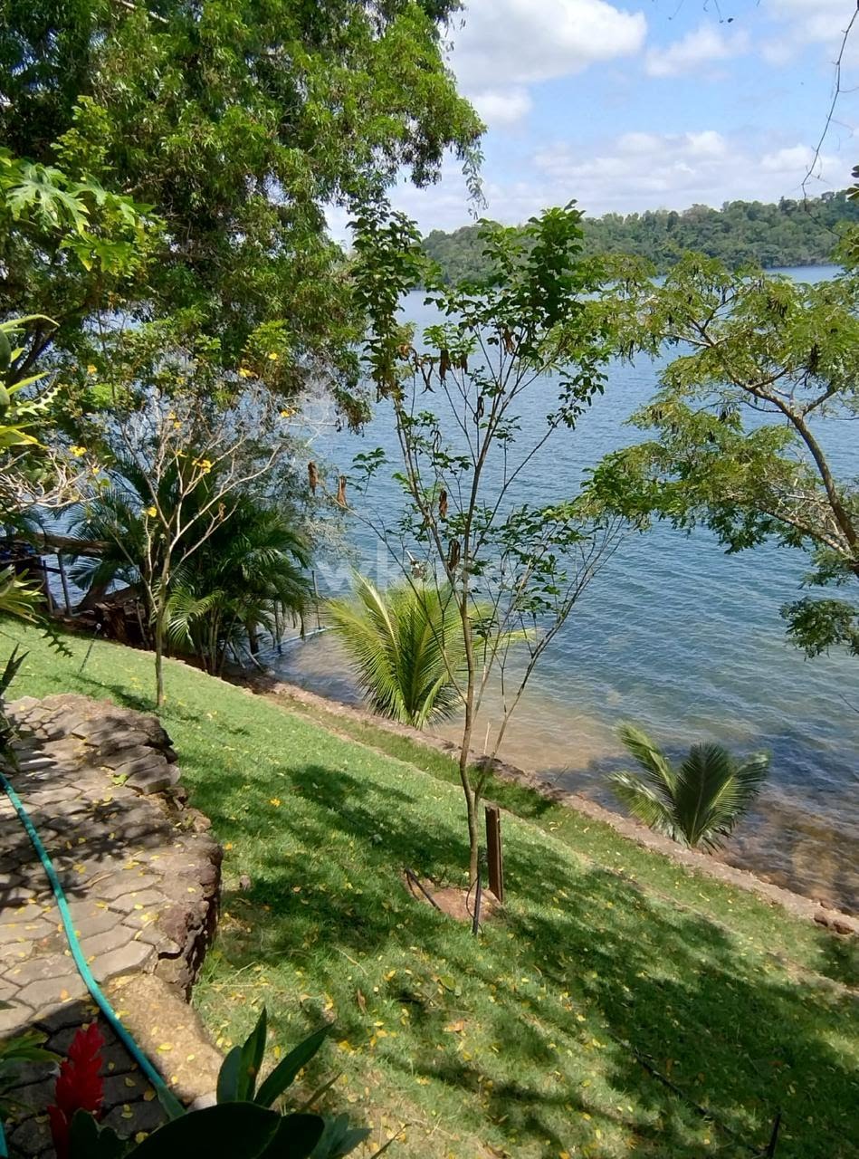 Rural à venda com 12000m² de terreno no São Rafael, Linhares (ES) — foto 4 de 15