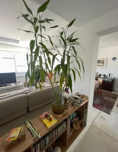 Apartamento à venda na Lagoa: 108m², 2 quartos, 1 vaga