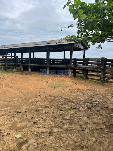 Fazenda em Zona Rural  -  Machadinho d'Oeste
