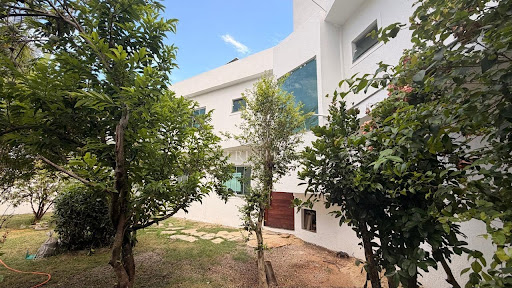 Jardim 