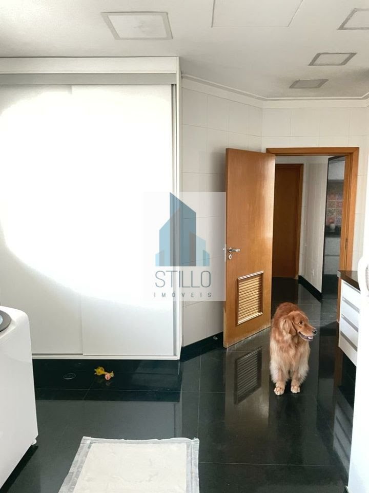 Apartamento para alugar com 4 quartos, 4 suítes, 4 vagas e 355m² no Vila Regente Feijó, São Paulo (SP) — foto 9 de 28