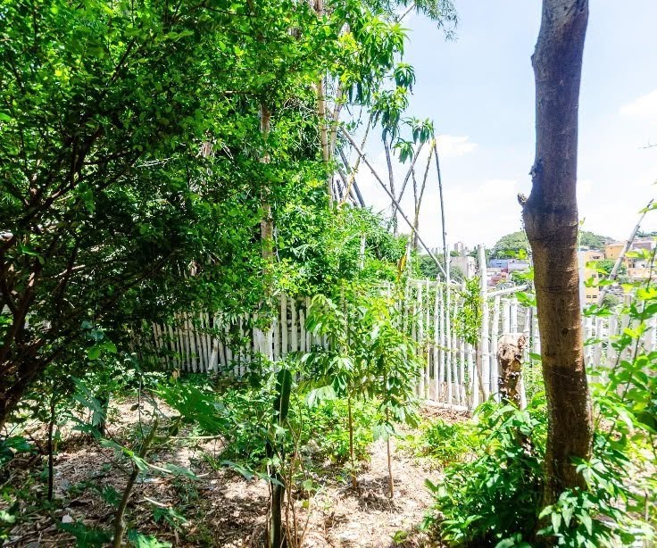 Casa à venda com 3 quartos, 1 suíte e 4 vagas no Vila Zat, São Paulo (SP) — foto 24 de 30