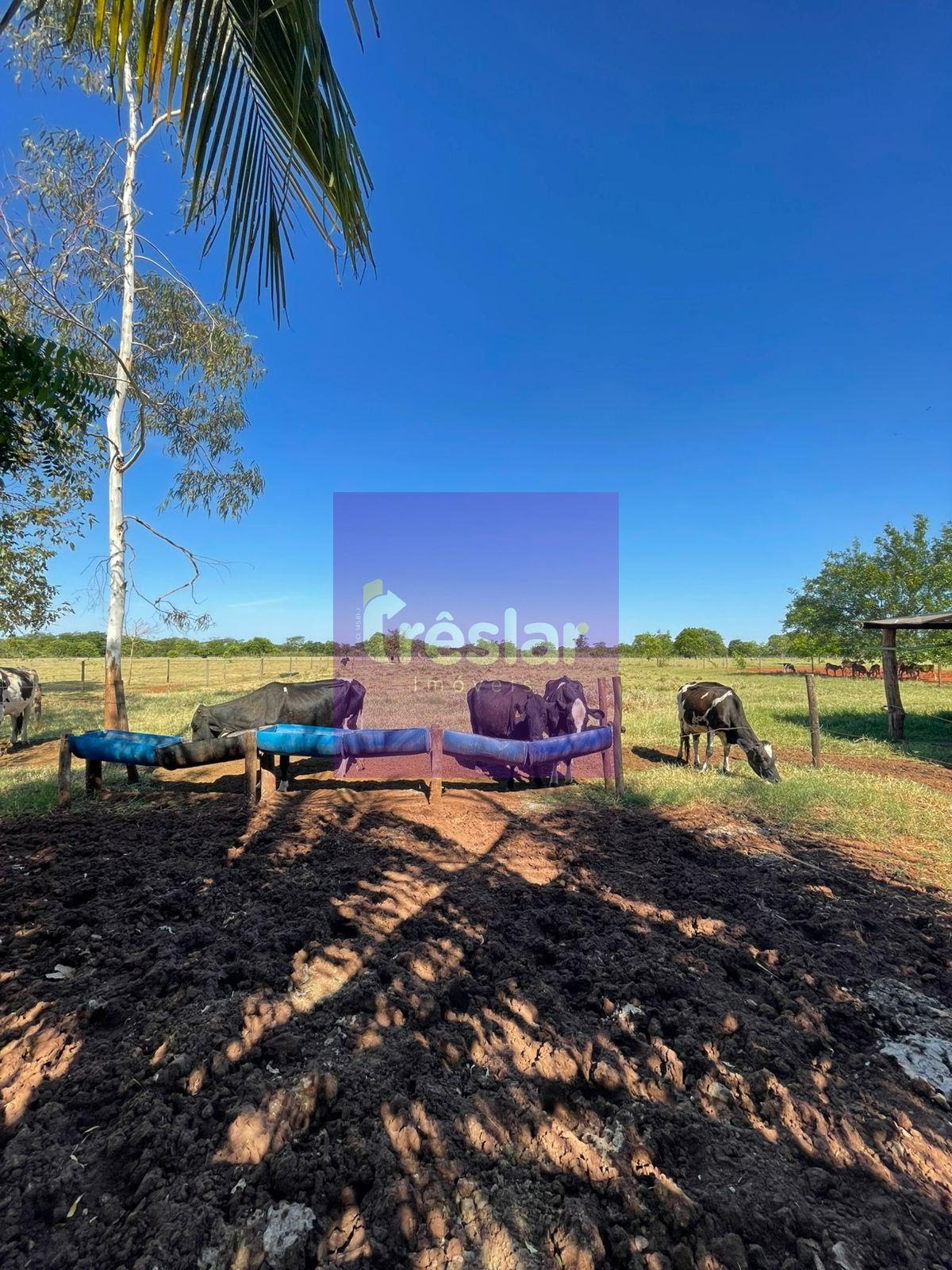 Rural à venda com 80m² de terreno no Chácara, Três Lagoas (MS) — foto 8 de 12