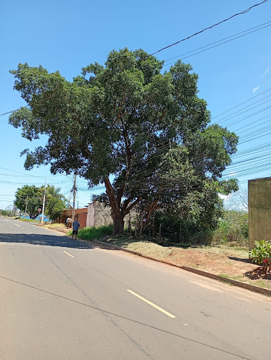 Lote / Terreno em Nova Lima  -  Campo Grande