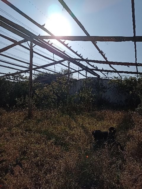 Foto 05