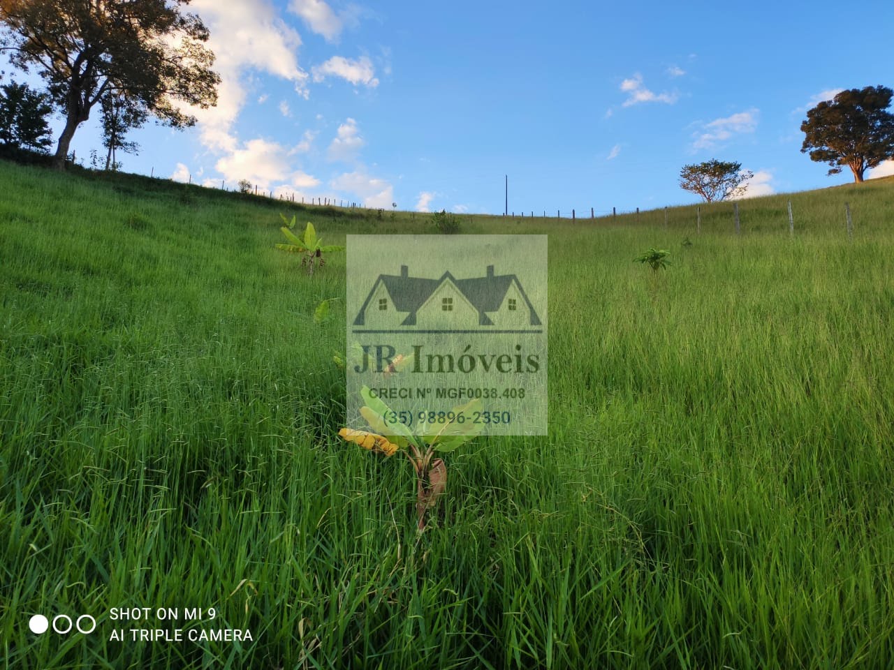 Terreno à venda com 3000m² de terreno no Mato Dentro de Baixo, Piranguinho (MG) — foto 17 de 18