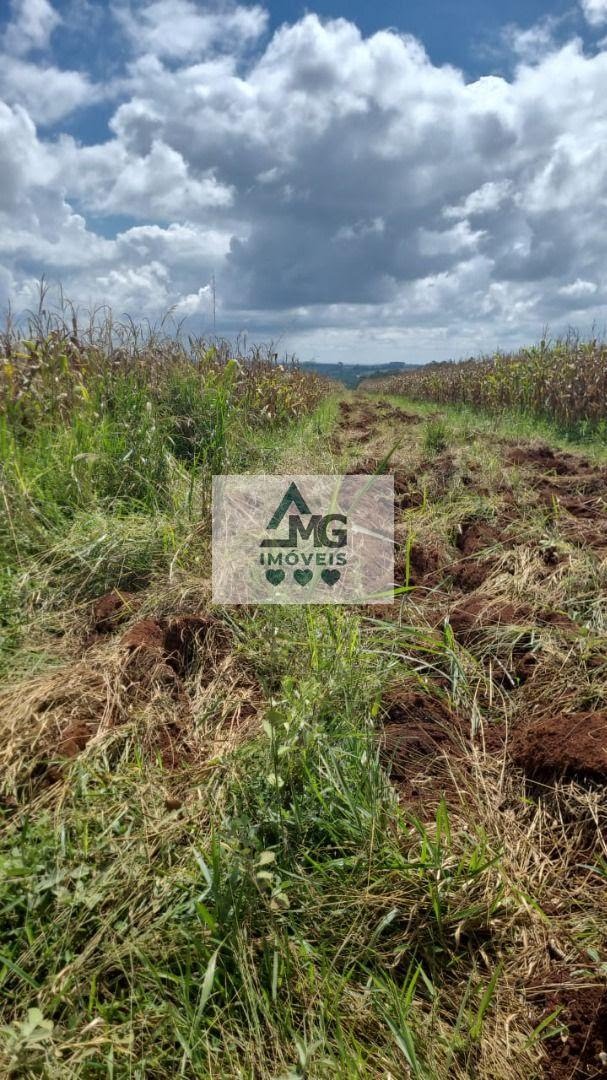 Terreno à venda com 44000m² de terreno no Zona Rural, Três Corações (MG) — foto 2 de 5
