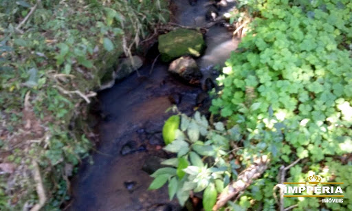 Foto 08