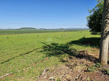 Sítio à Venda em Casa Branca/SP