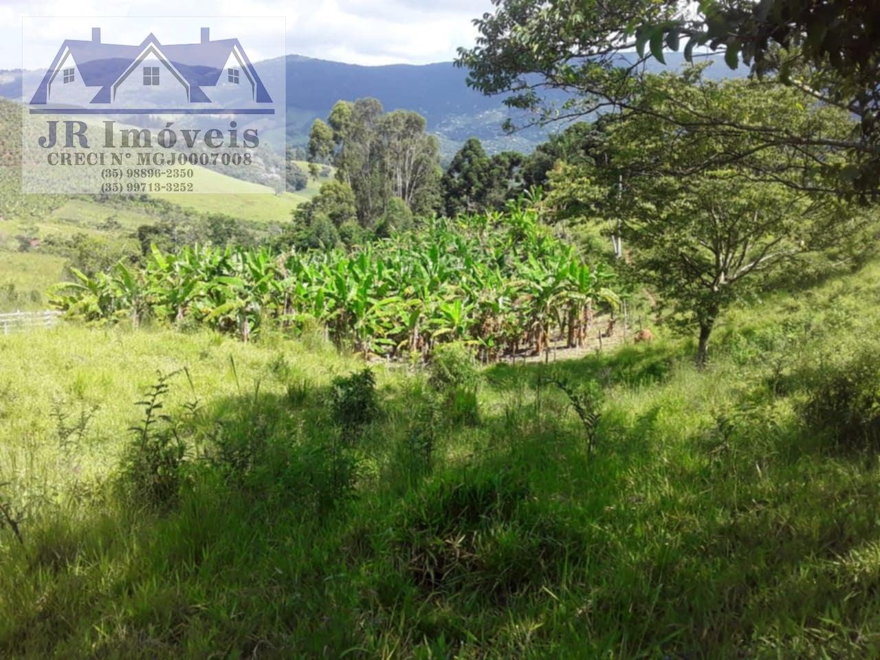 Rural à venda com 30000m² de terreno no Resende, Pedralva (MG) — foto 12 de 21
