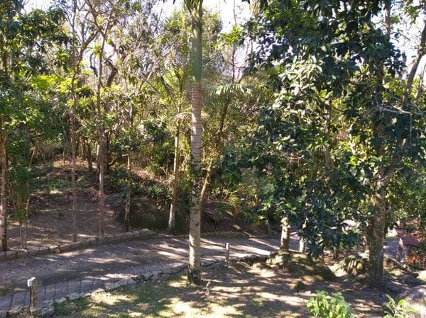 Terreno à venda com 19039m² de terreno no Ratones, Florianópolis (SC) — foto 19 de 26