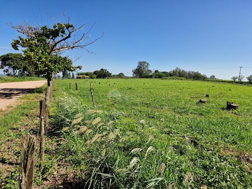 Área Comercial a venda em Casa Branca SP