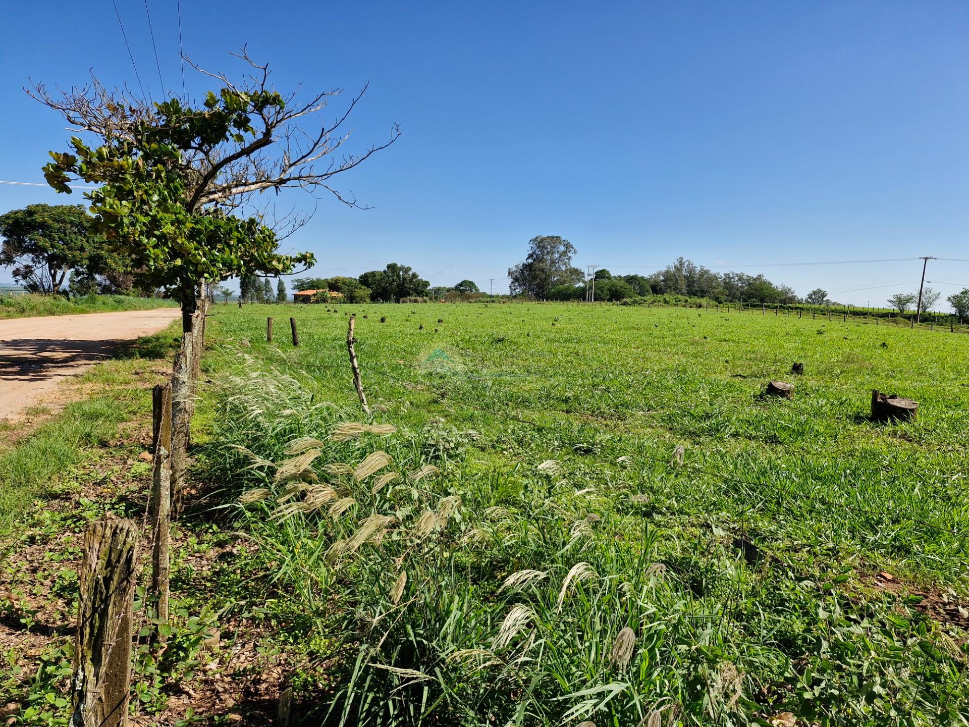 Área Comercial a venda em Casa Branca SP