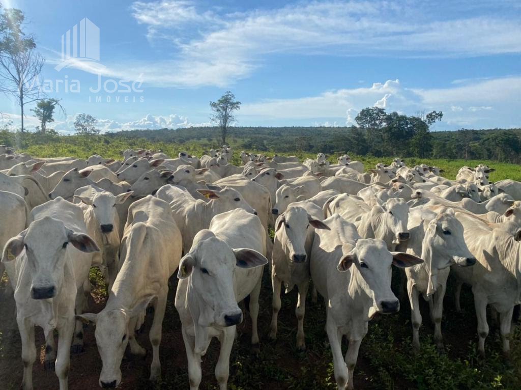 Rural à venda com 8930000m² de terreno no Zona Rural de Três Marias, Três Marias (MG) — foto 28 de 30