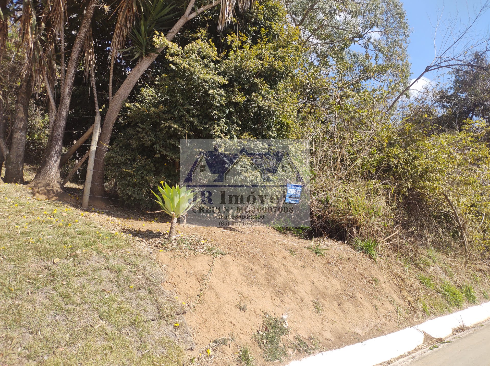 Terreno à venda com 5686m² de terreno no Santa Barbara, Piranguinho (MG) — foto 11 de 17