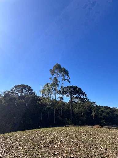 Terreno Amplo – Bairro Lençol, São Bento do Sul, SC