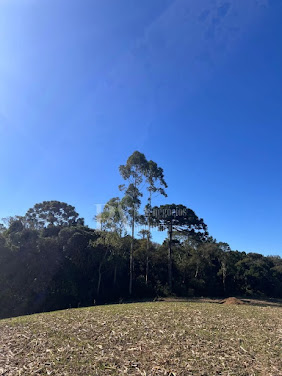Terreno Amplo – Bairro Lençol, São Bento do Sul, SC